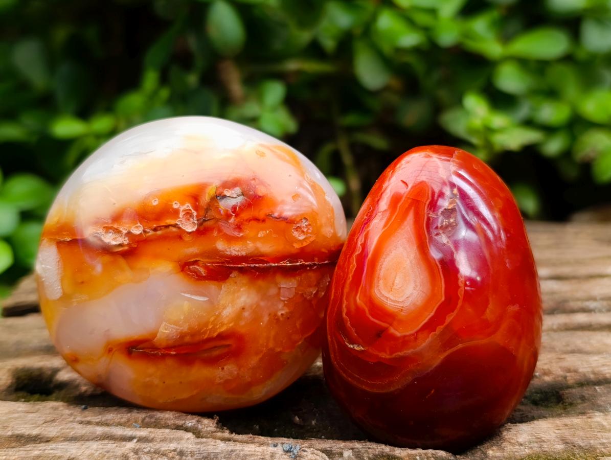 Polished Carnelian Agate Gemstone Galets x 12 From Madagascar