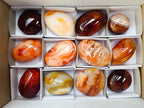 Polished Carnelian Agate Gemstone Galets x 12 From Madagascar