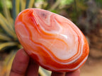 Polished Carnelian Agate Gemstone Galets x 12 From Madagascar
