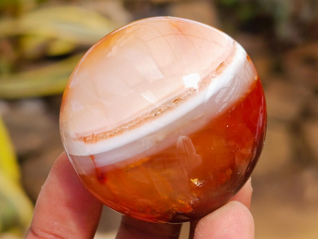 Polished Carnelian Agate Gemstone Galets x 12 From Madagascar