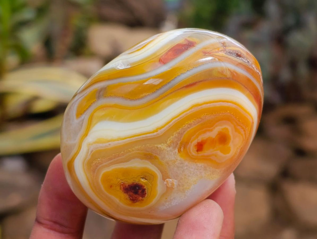 Polished Carnelian Agate Gemstone Galets x 12 From Madagascar