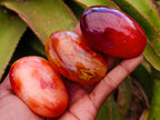 Polished Carnelian Agate Gemstone Galets x 12 From Madagascar