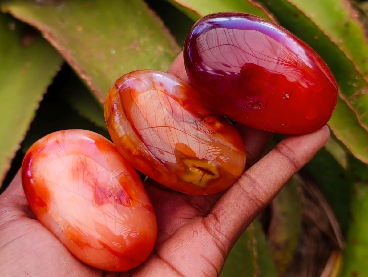 Polished Carnelian Agate Gemstone Galets x 12 From Madagascar