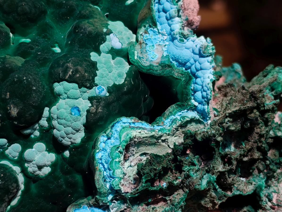 Natural Cabinet Botryoidal Malachite and Chrysocolla Specimen x 1 From Congo