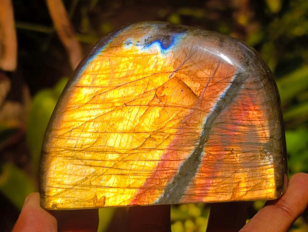 Polished Labradorite Standing Free Forms x 3 From Madagascar