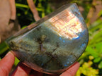 Polished Labradorite Standing Free Forms x 3 From Madagascar