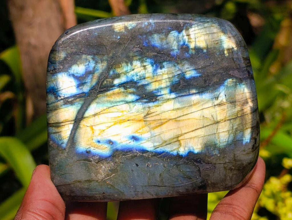 Polished Labradorite Standing Free Forms x 3 From Madagascar