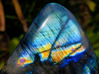 Polished Labradorite Standing Free Forms x 3 From Madagascar