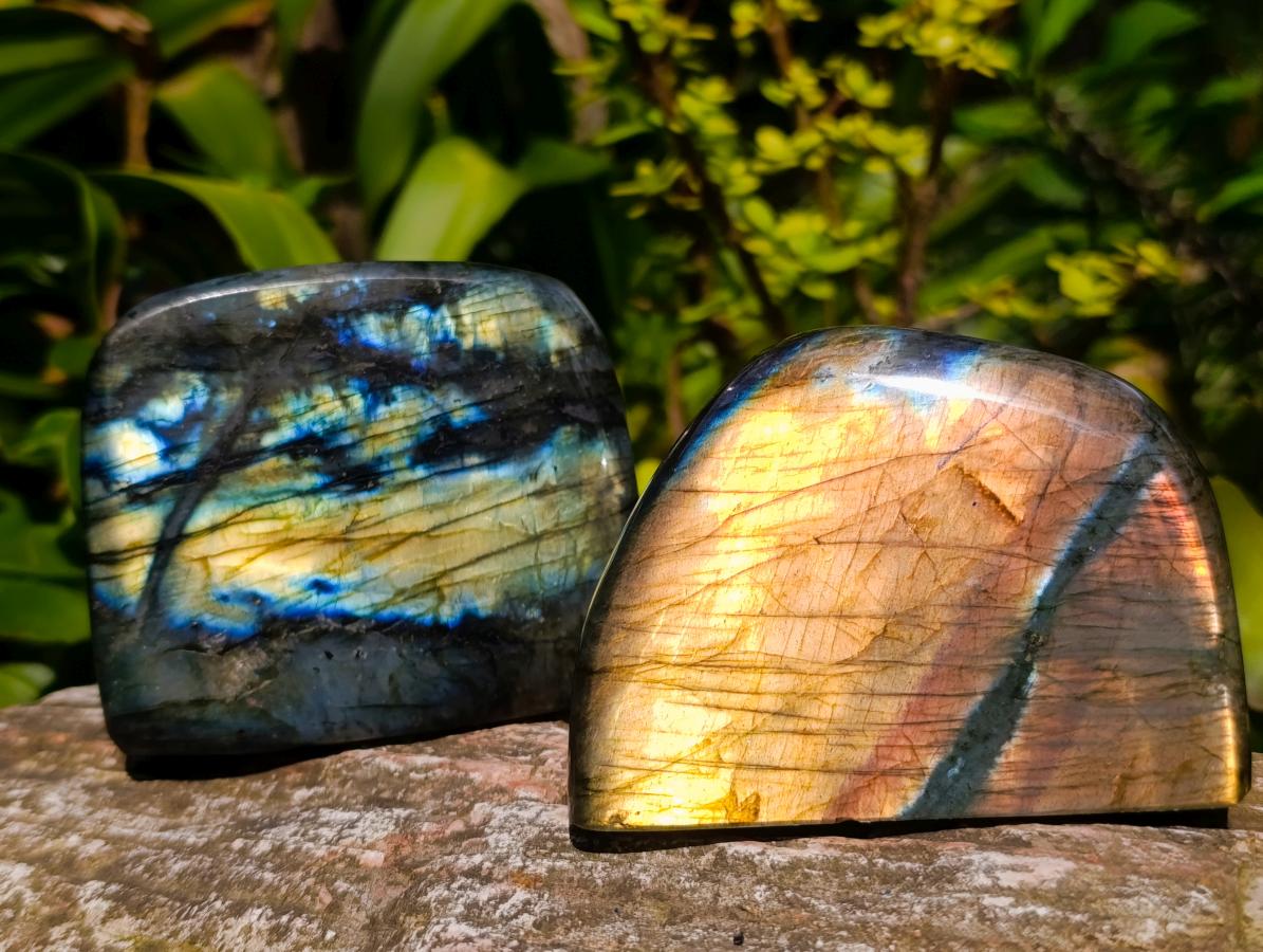 Polished Labradorite Standing Free Forms x 3 From Madagascar