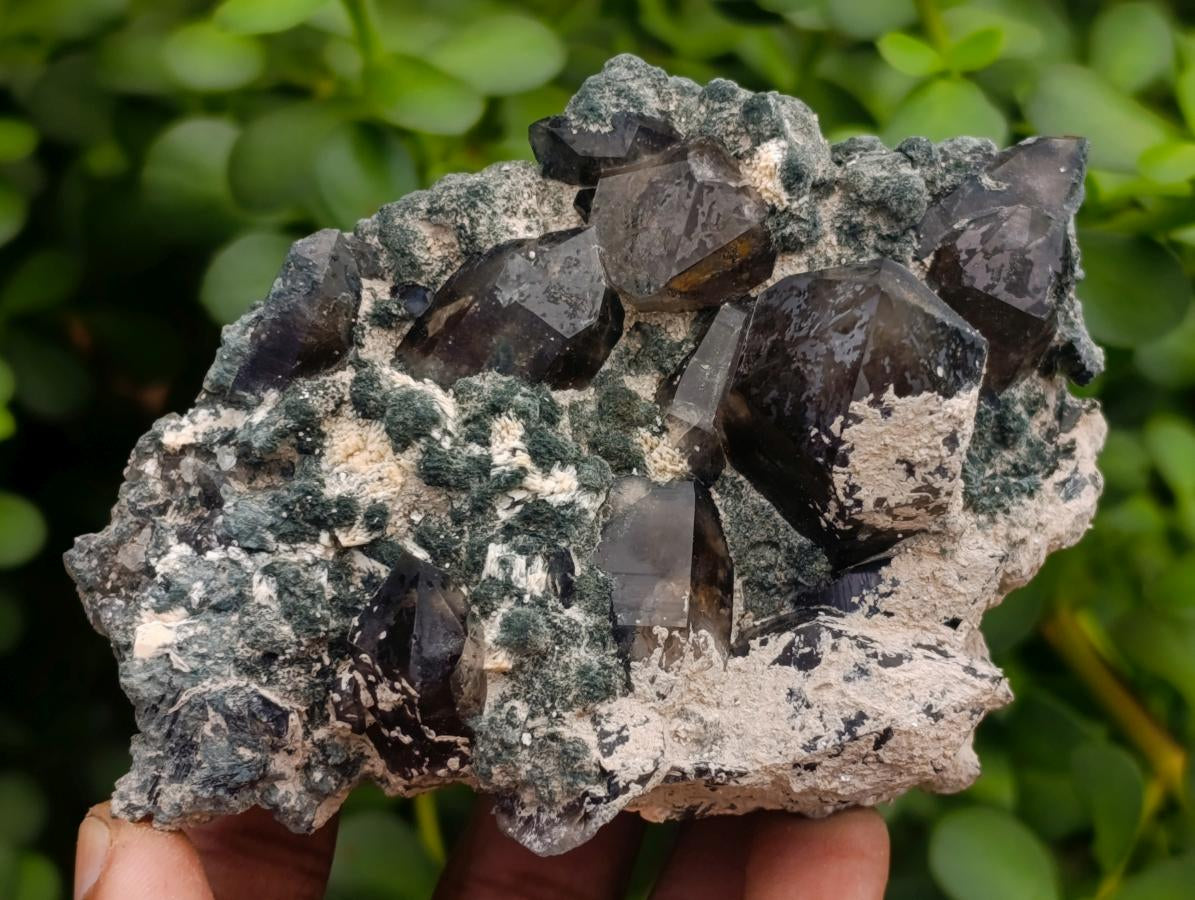 Natural Mixed Smokey Quartz Clusters with Inclusions x 4 From Erongo, Namibia