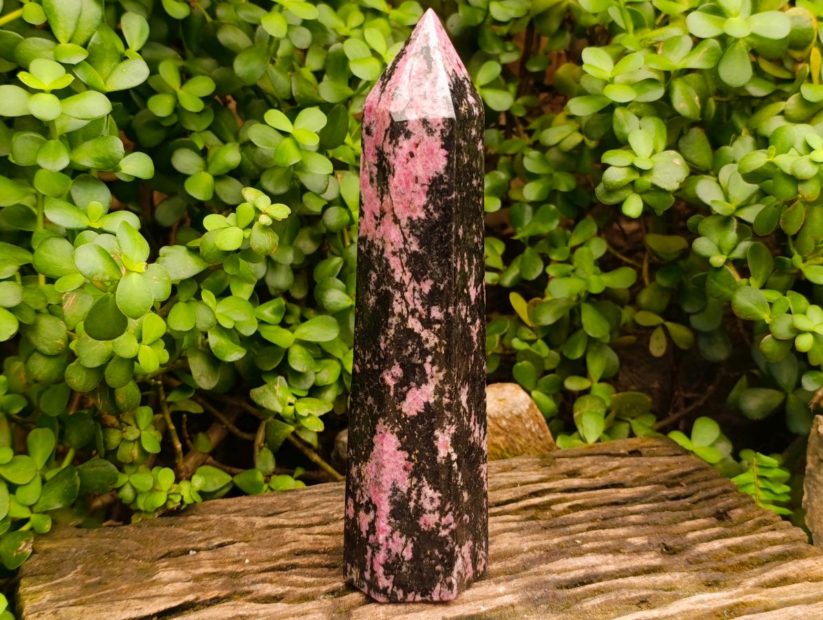 Polished Large Rhodonite Gemstone Display Crystal x 1 From Ambindavato, Madagascar