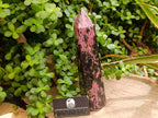 Polished Large Rhodonite Gemstone Display Crystal x 1 From Ambindavato, Madagascar - Toprock Gemstones and Minerals 