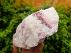 Natural Pink Rubellite Tourmaline Specimens x 2 From Karibib, Namibia - Toprock Gemstones and Minerals 