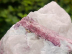 Natural Pink Rubellite Tourmaline Specimens x 2 From Karibib, Namibia - Toprock Gemstones and Minerals 