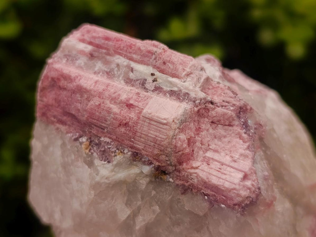 Natural Pink Rubellite Tourmaline Specimens x 2 From Karibib, Namibia - Toprock Gemstones and Minerals 