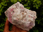 Natural Pink Rubellite Tourmaline Specimens x 2 From Karibib, Namibia - Toprock Gemstones and Minerals 