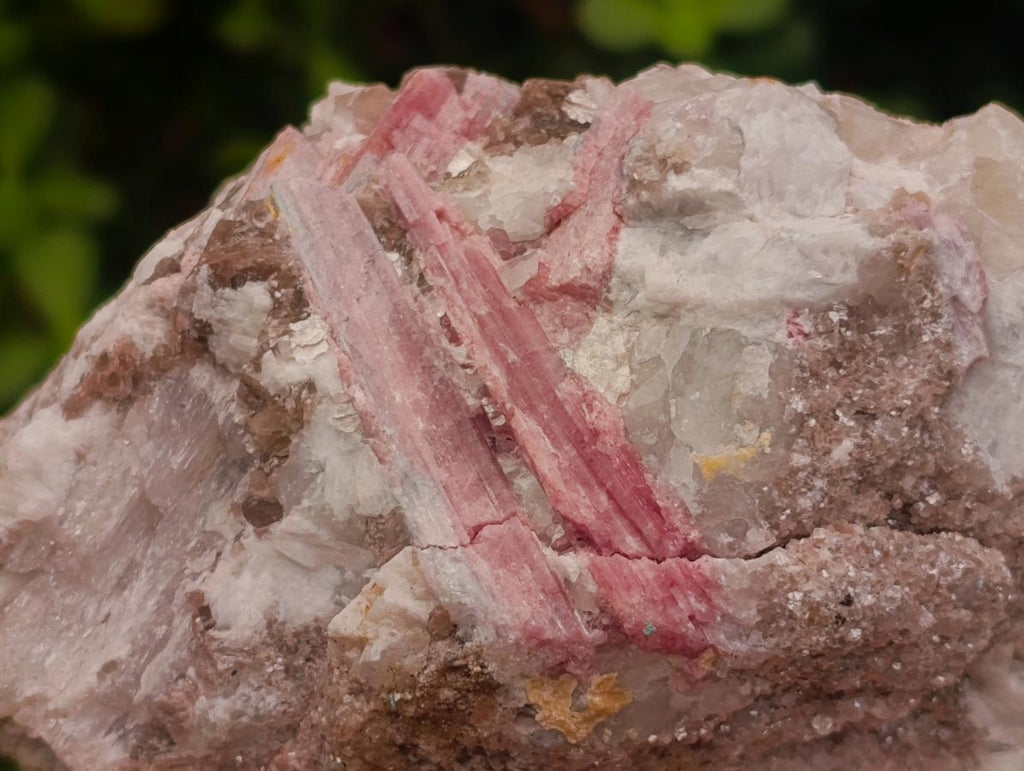 Natural Pink Rubellite Tourmaline Specimens x 2 From Karibib, Namibia - Toprock Gemstones and Minerals 