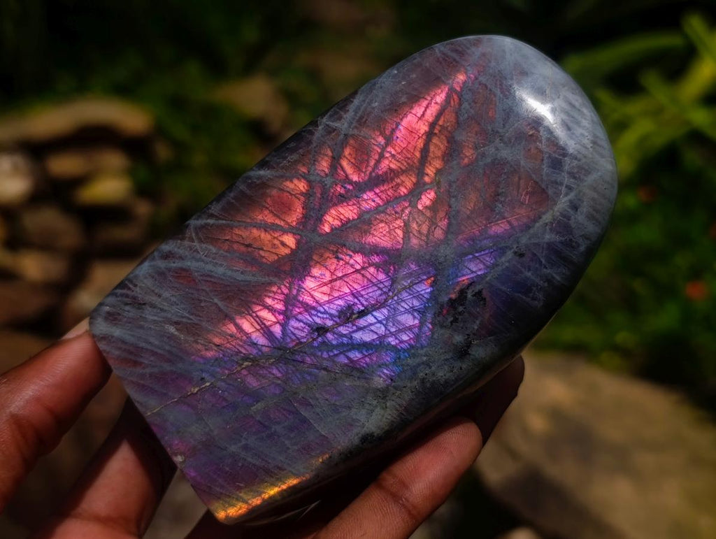 Polished Rare Purple Sunset Flash Labradorite Standing Free Form x 2 From Madagascar - Toprock Gemstones and Minerals 