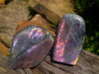 Polished Rare Purple Sunset Flash Labradorite Standing Free Form x 2 From Madagascar - Toprock Gemstones and Minerals 