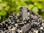 Natural Cabinet Schorl Black Tourmaline with Muscovite Crystals x 2 From Erongo, Namibia