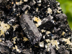 Natural Cabinet Schorl Black Tourmaline with Muscovite Crystals x 2 From Erongo, Namibia