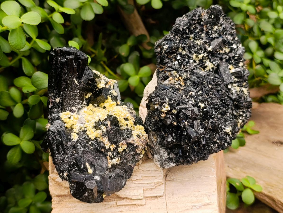 Natural Cabinet Schorl Black Tourmaline with Muscovite Crystals x 2 From Erongo, Namibia