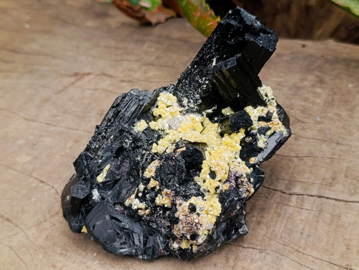 Natural Cabinet Schorl Black Tourmaline with Muscovite Crystals x 2 From Erongo, Namibia