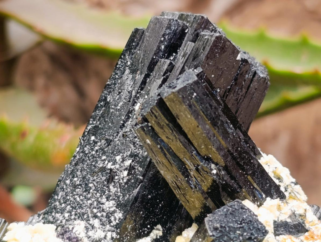Natural Cabinet Schorl Black Tourmaline with Muscovite Crystals x 2 From Erongo, Namibia