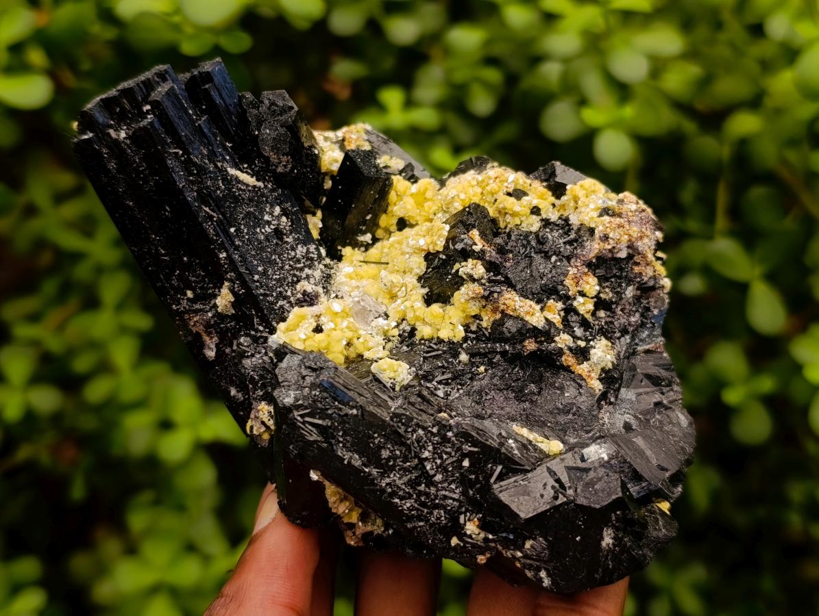 Natural Cabinet Schorl Black Tourmaline with Muscovite Crystals x 2 From Erongo, Namibia