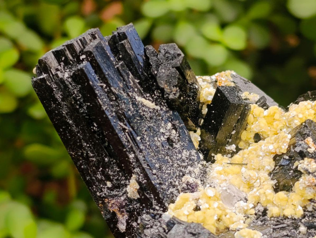 Natural Cabinet Schorl Black Tourmaline with Muscovite Crystals x 2 From Erongo, Namibia