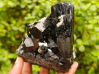 Natural Cabinet Schorl Black Tourmaline with Muscovite Crystals x 2 From Erongo, Namibia