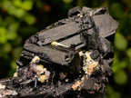 Natural Cabinet Schorl Black Tourmaline with Muscovite Crystals x 2 From Erongo, Namibia