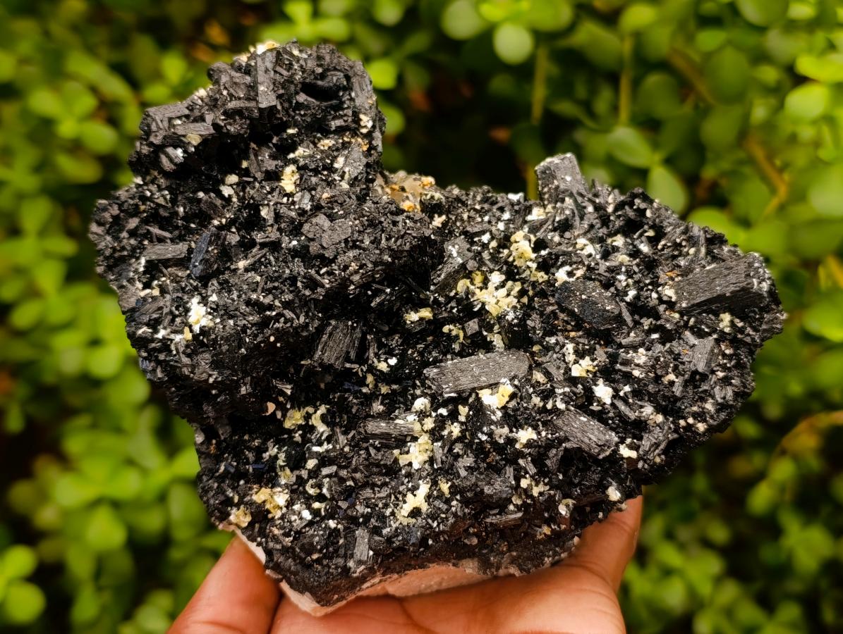 Natural Cabinet Schorl Black Tourmaline with Muscovite Crystals x 2 From Erongo, Namibia
