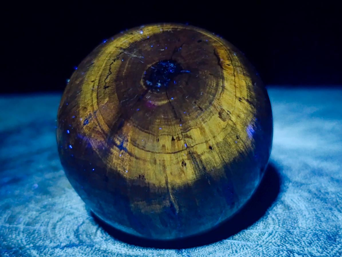 Polished Dadoxylon Petrified Wood Spheres x 3 From Gokwe, Zimbabwe
