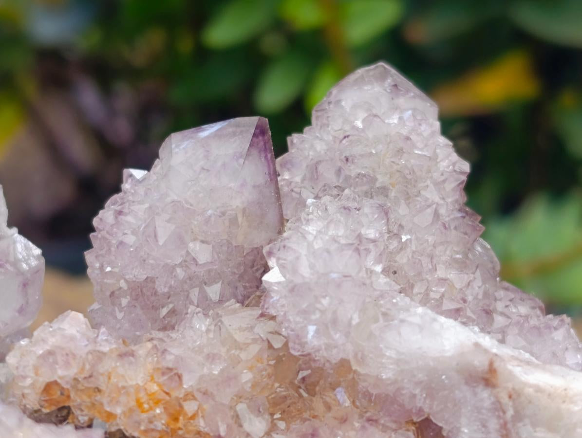 Natural Amethyst Spirit Clusters x 6 From Boekenhouthoek, South Africa - Toprock Gemstones and Minerals 