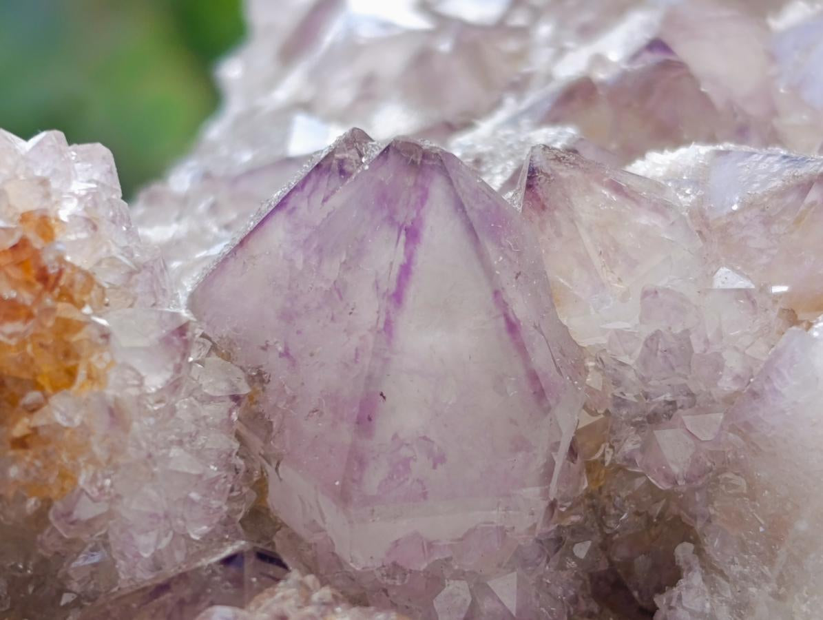 Natural Amethyst Spirit Clusters x 6 From Boekenhouthoek, South Africa
