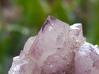 Natural Amethyst Spirit Clusters x 6 From Boekenhouthoek, South Africa - Toprock Gemstones and Minerals 
