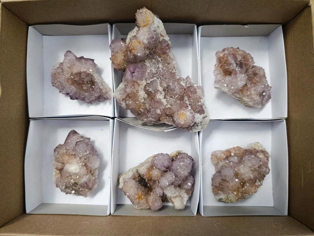 Natural Amethyst Spirit Clusters x 6 From Boekenhouthoek, South Africa - Toprock Gemstones and Minerals 