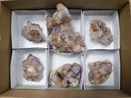 Natural Amethyst Spirit Clusters x 6 From Boekenhouthoek, South Africa - Toprock Gemstones and Minerals 