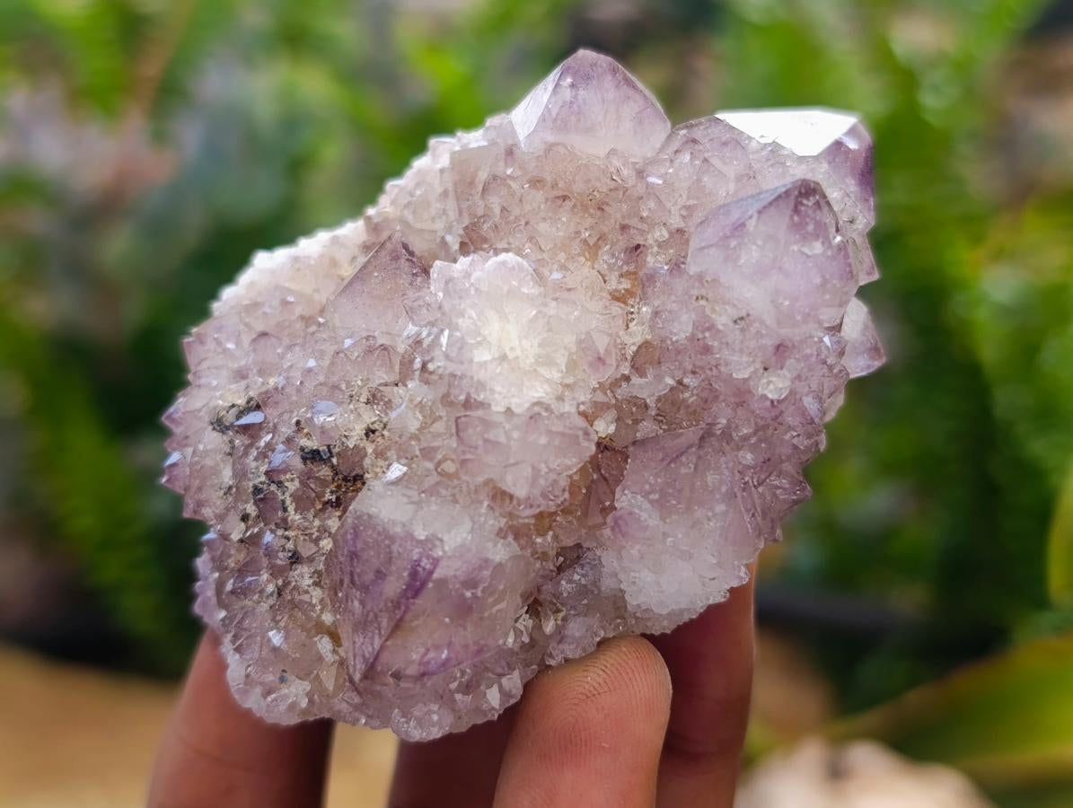 Natural Amethyst Spirit Clusters x 6 From Boekenhouthoek, South Africa - Toprock Gemstones and Minerals 