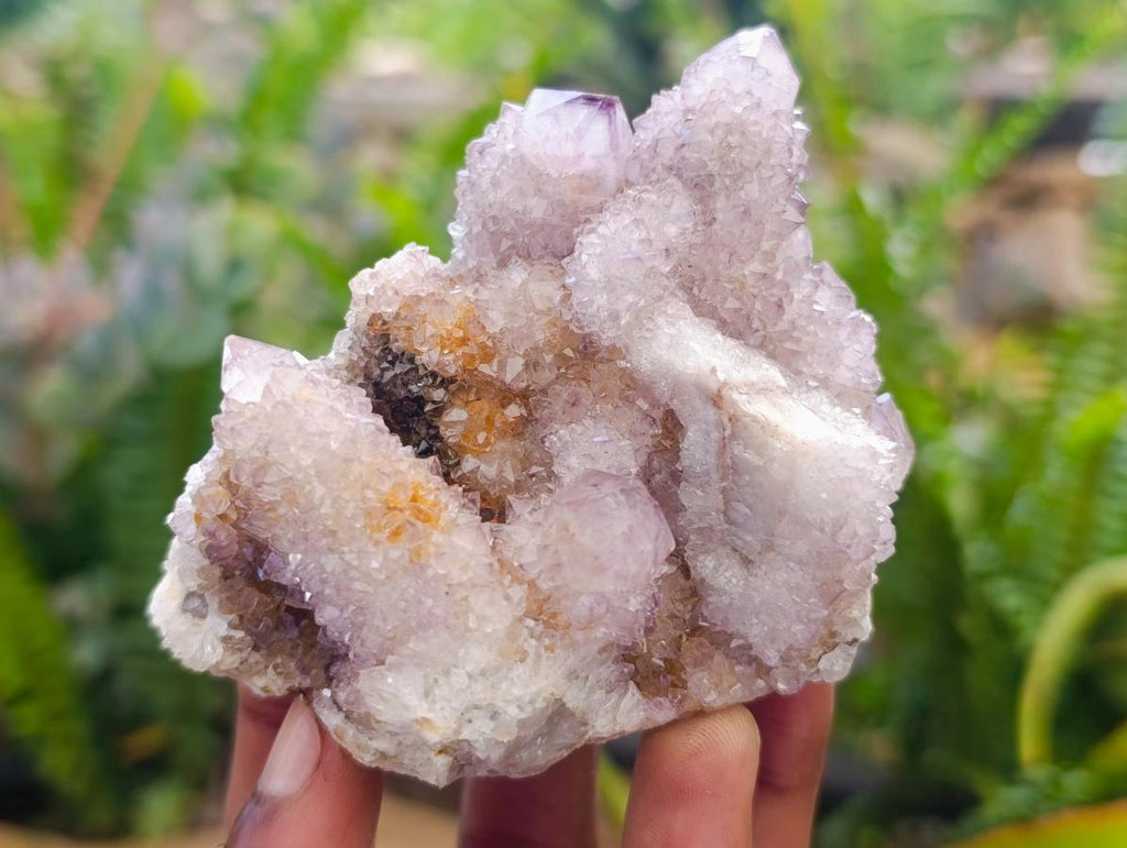 Natural Amethyst Spirit Clusters x 6 From Boekenhouthoek, South Africa - Toprock Gemstones and Minerals 