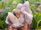 Natural Amethyst Spirit Clusters x 6 From Boekenhouthoek, South Africa - Toprock Gemstones and Minerals 