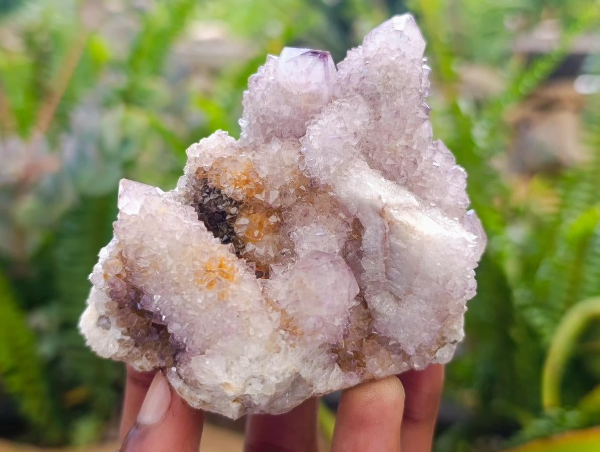 Natural Amethyst Spirit Clusters x 6 From Boekenhouthoek, South Africa - Toprock Gemstones and Minerals 