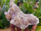 Natural Amethyst Spirit Clusters x 6 From Boekenhouthoek, South Africa - Toprock Gemstones and Minerals 