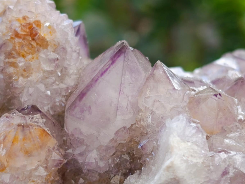 Natural Amethyst Spirit Clusters x 6 From Boekenhouthoek, South Africa - Toprock Gemstones and Minerals 