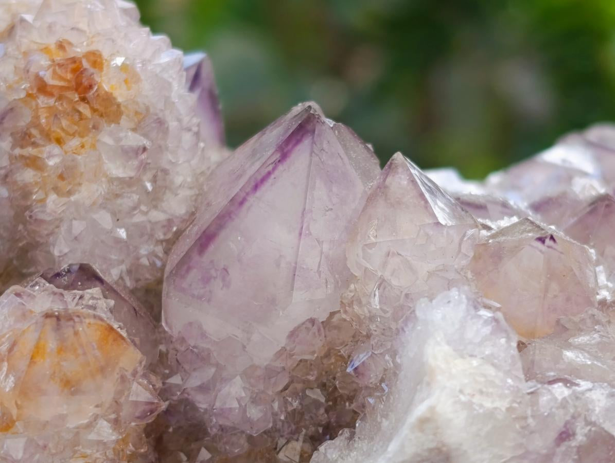 Natural Amethyst Spirit Clusters x 6 From Boekenhouthoek, South Africa - Toprock Gemstones and Minerals 