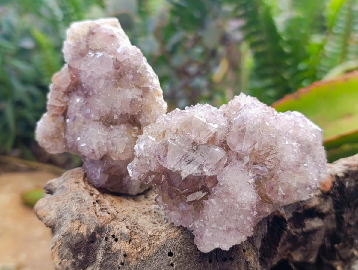 Natural Amethyst Spirit Clusters x 6 From Boekenhouthoek, South Africa - Toprock Gemstones and Minerals 