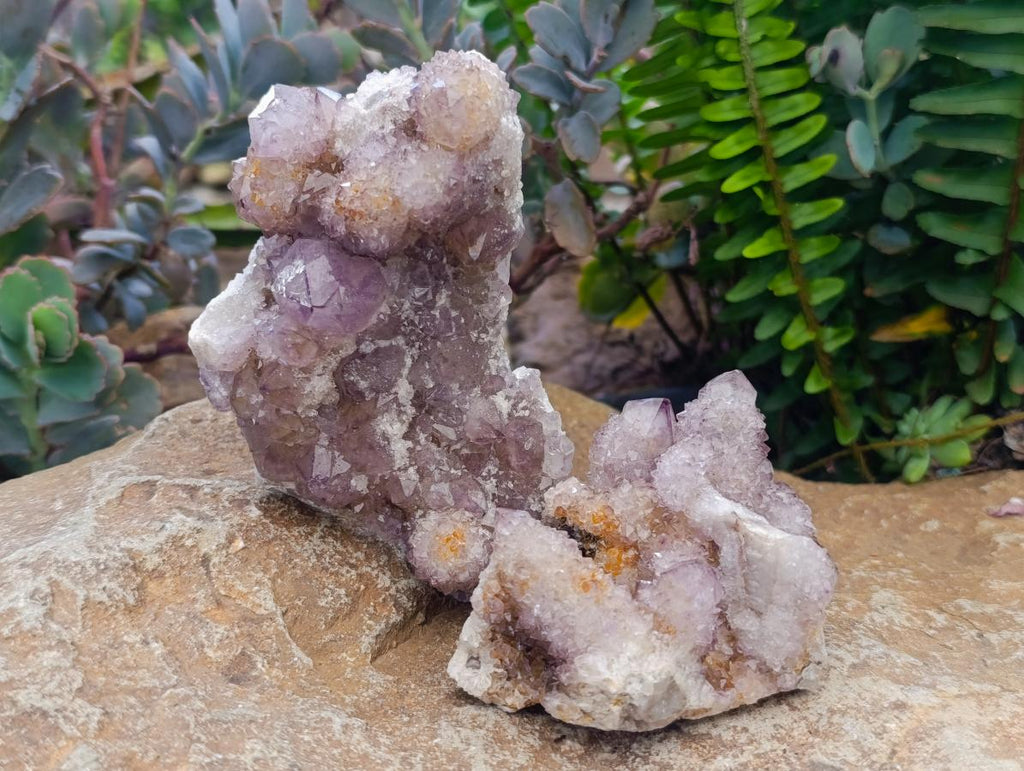 Natural Amethyst Spirit Clusters x 6 From Boekenhouthoek, South Africa - Toprock Gemstones and Minerals 