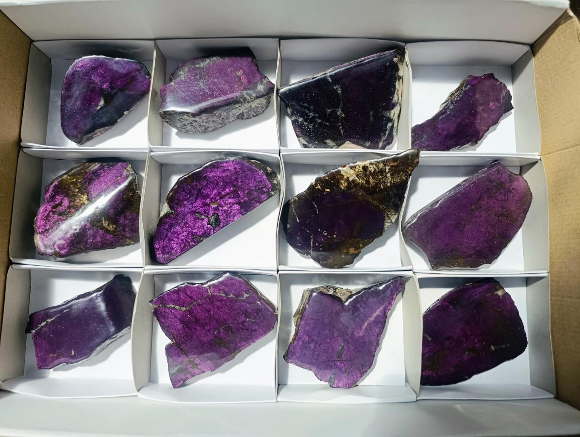 Polished One Side Metallic Purpurite Specimens x 12 From Erongo Namibia