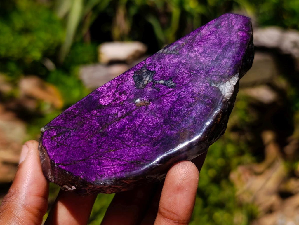 Polished One Side Metallic Purpurite Specimens x 12 From Erongo Namibia
